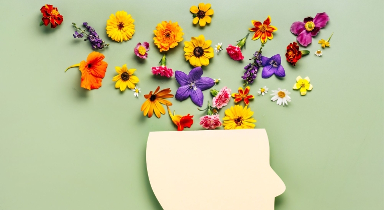 Seguros e Saúde Mental: Como um seguro pode trazer tranquilidade?